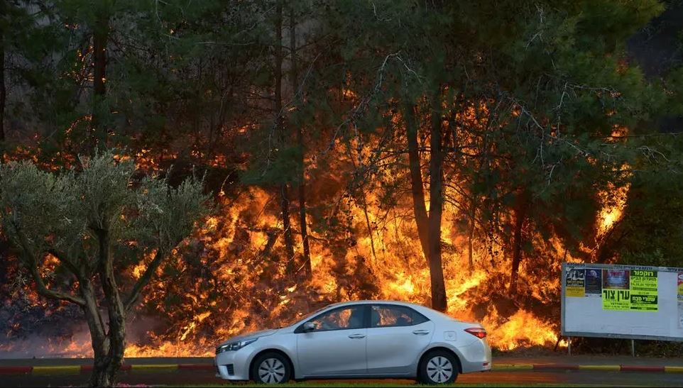 Darurat Nasional! Israel Alami Kebakaran Hutan Terparah dalam Sejarah