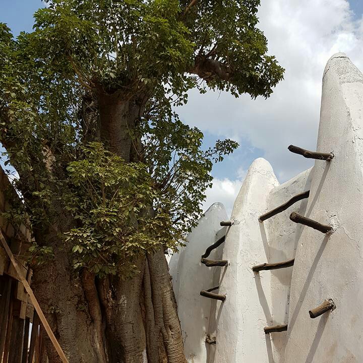 pohon tua di sekitar masjid